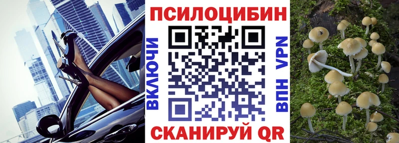 сколько стоит  Белая Калитва  Псилоцибиновые грибы мицелий 