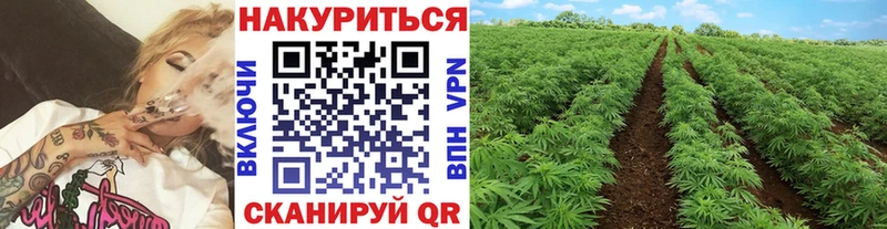 продажа наркотиков  Белая Калитва  Бошки Шишки тримм 